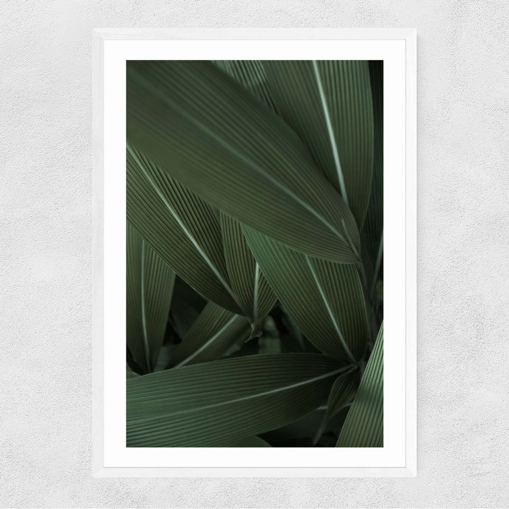 Minimal Plants Narrow White Frame Minimal Plants Narrow White Frame