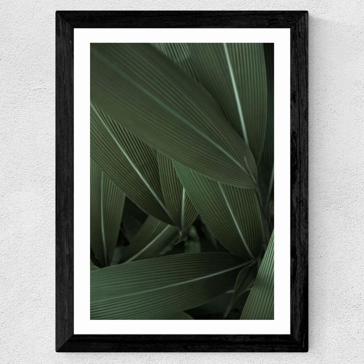 Minimal Plants Wide Black Frame