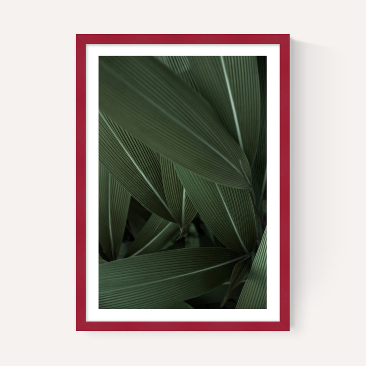 Minimal Plants
