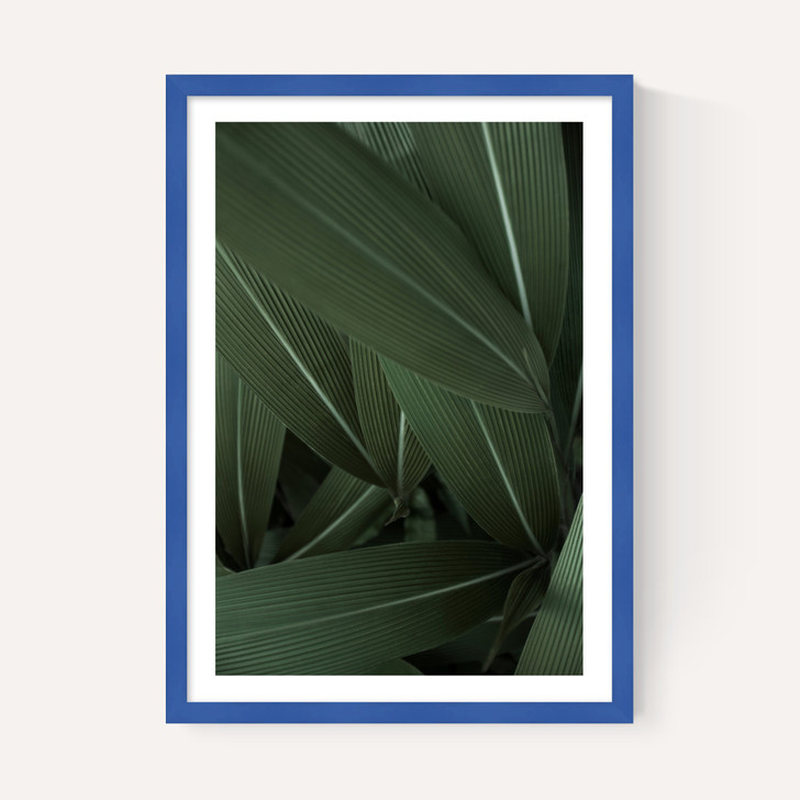Minimal Plants