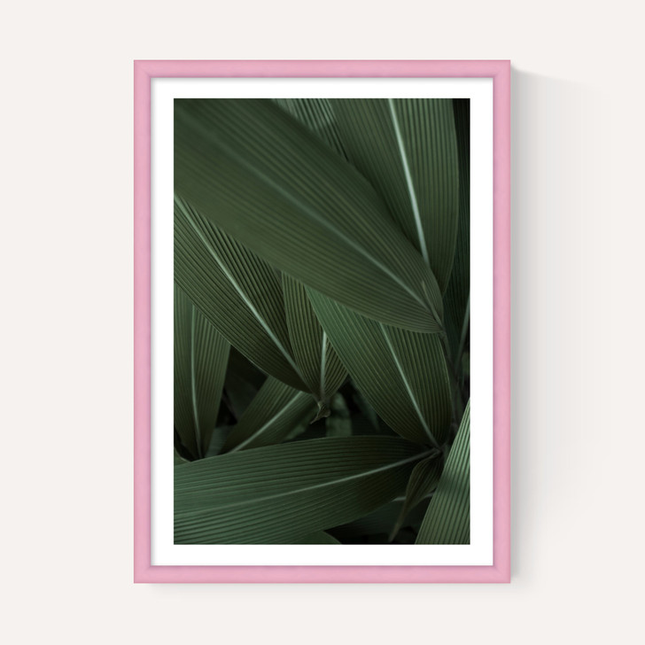 Minimal Plants
