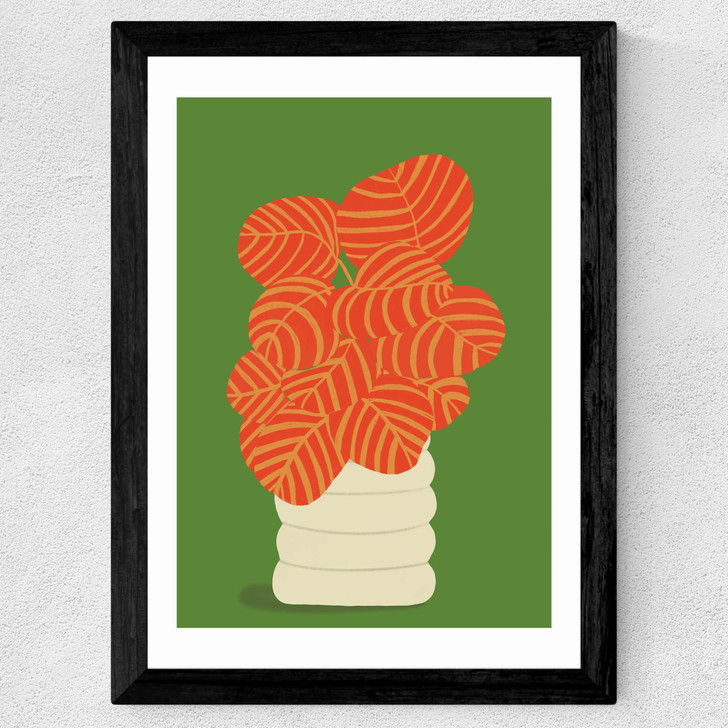 Reimagined Calathea Wide Black Frame Reimagined Calathea Wide Black Frame