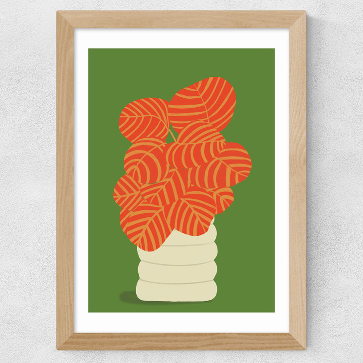 Reimagined Calathea Wide Oak Frame Reimagined Calathea Wide Oak Frame