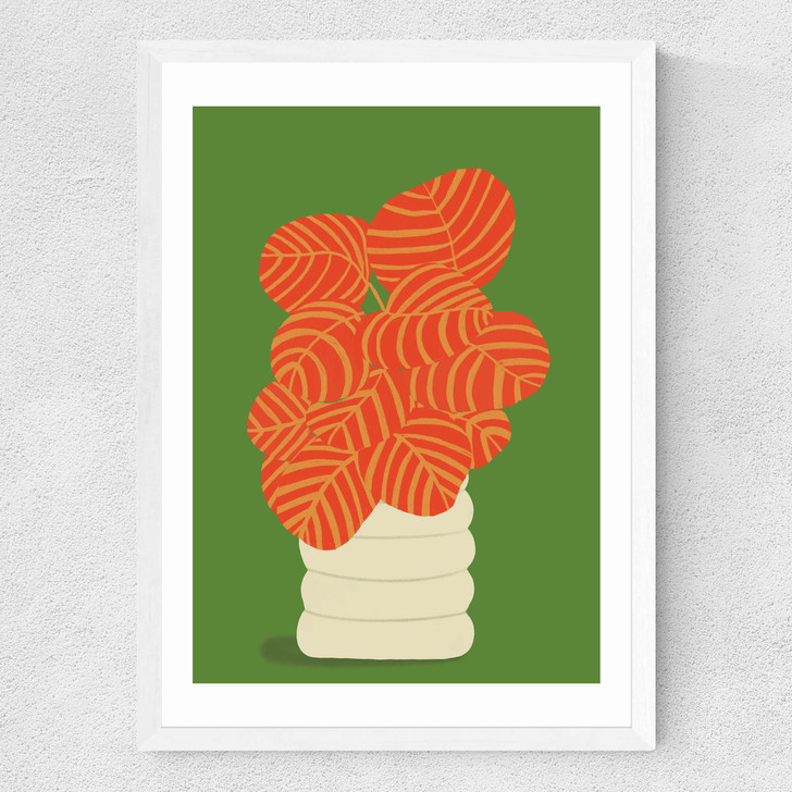 Reimagined Calathea Medium White Frame Reimagined Calathea Medium White Frame