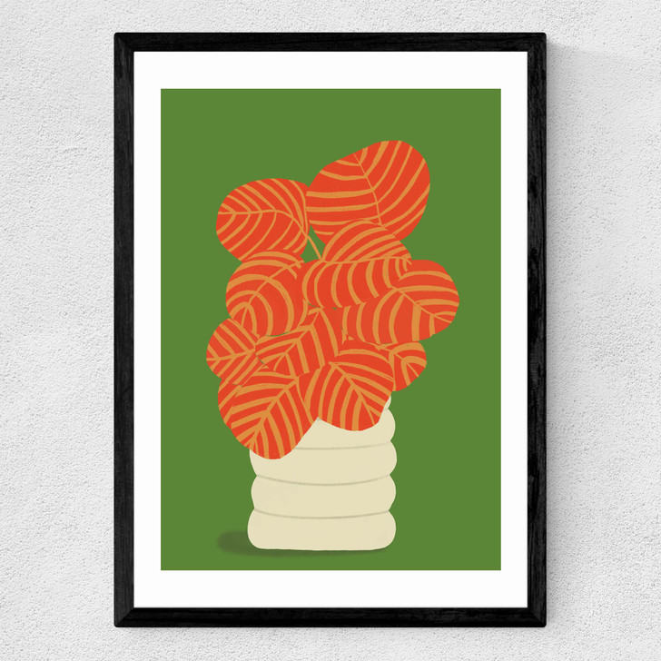 Reimagined Calathea Medium Black Frame