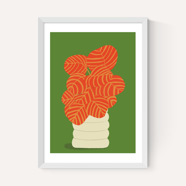 Reimagined Calathea