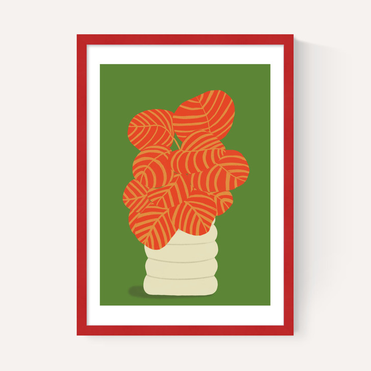 Reimagined Calathea