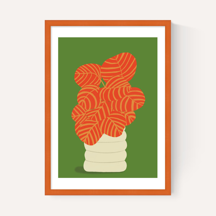 Reimagined Calathea