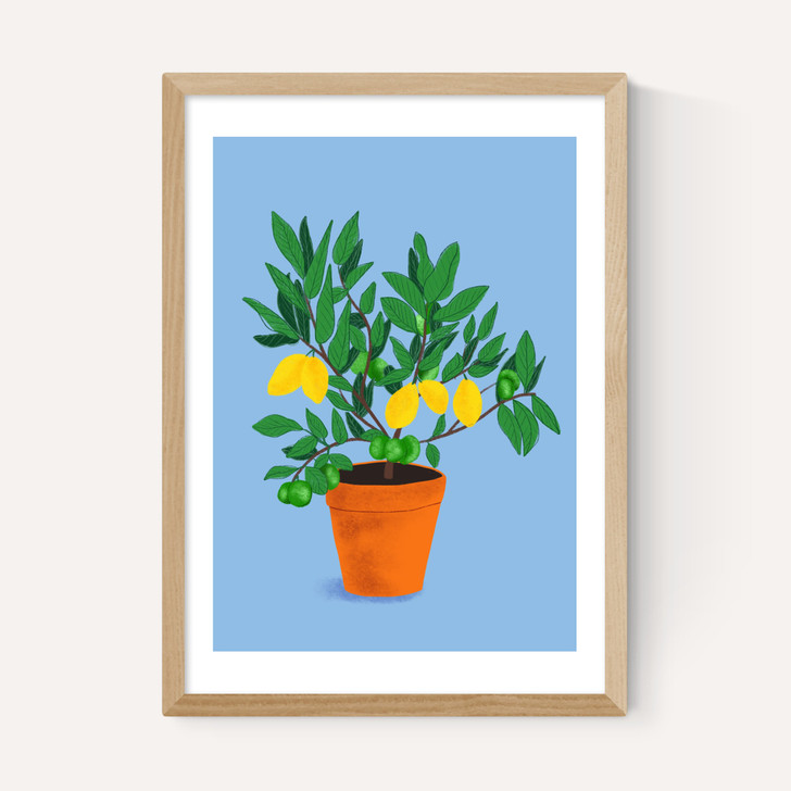 When Life Gives You Lemons