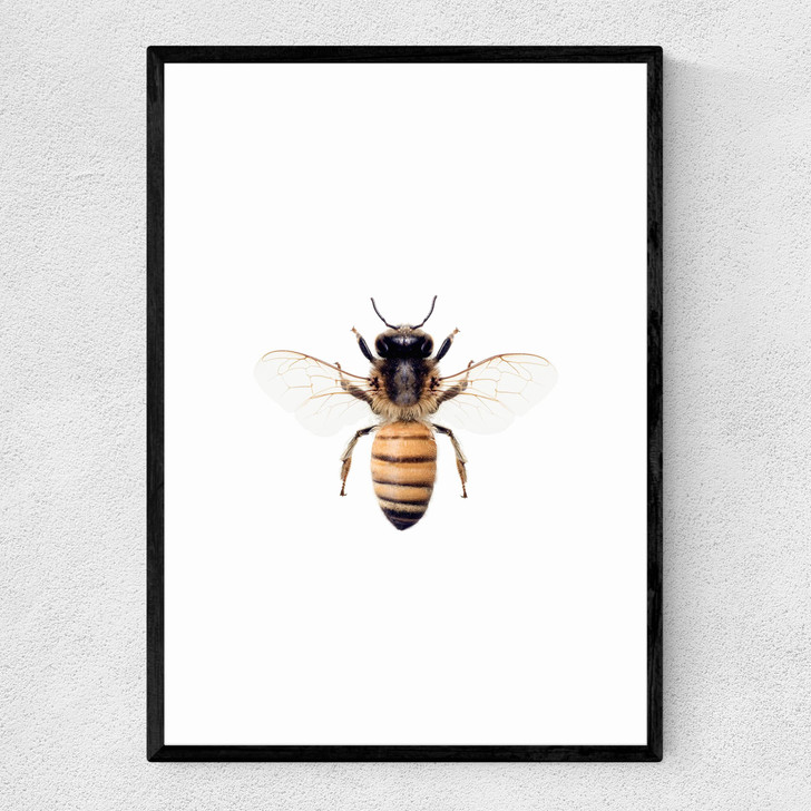 Bee by Sisi and Seb Narrow Black Frame Bee by Sisi and Seb Narrow Black Frame