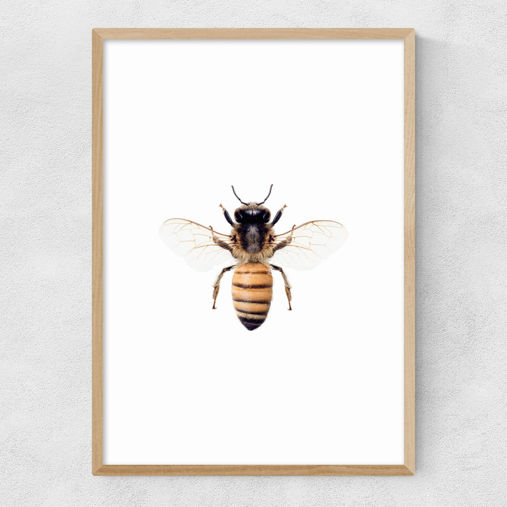 Bee by Sisi and Seb Narrow Oak Frame Bee by Sisi and Seb Narrow Oak Frame