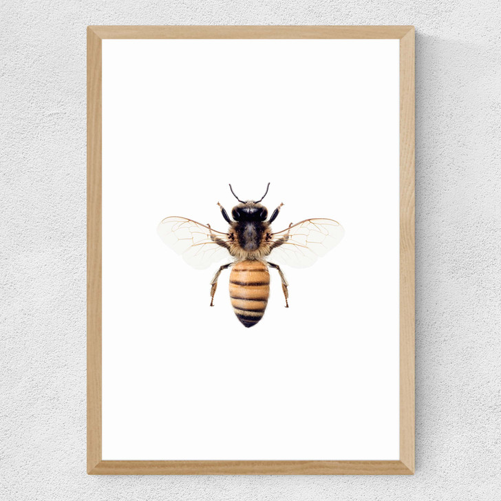 Bee by Sisi and Seb Medium Oak Frame Bee by Sisi and Seb Medium Oak Frame