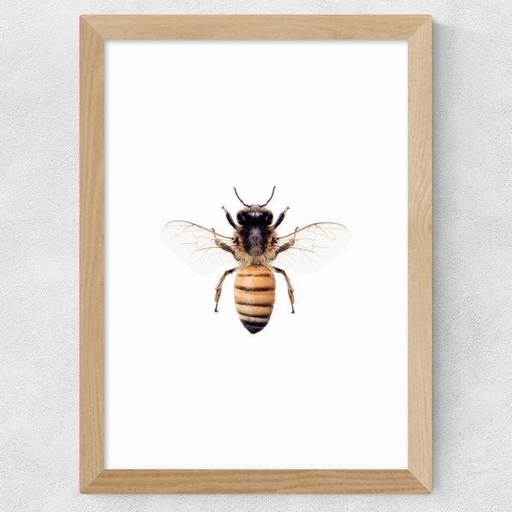 Bee by Sisi and Seb Wide Oak Frame Bee by Sisi and Seb Wide Oak Frame