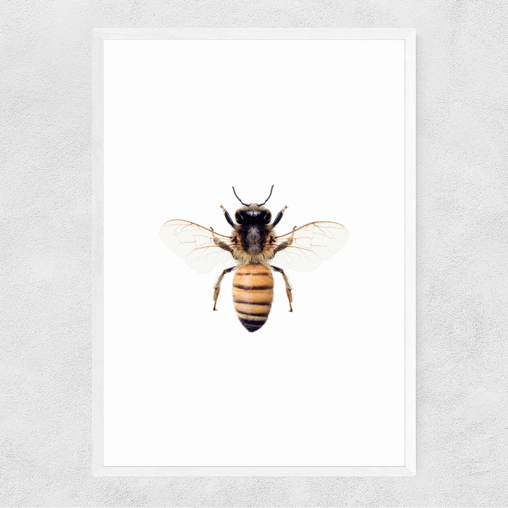 Bee by Sisi and Seb Narrow White Frame Bee by Sisi and Seb Narrow White Frame