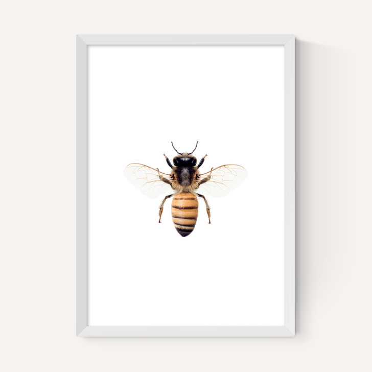 Bee by Sisi and Seb
