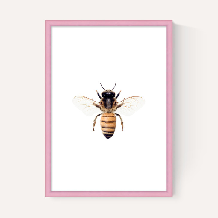 Bee by Sisi and Seb