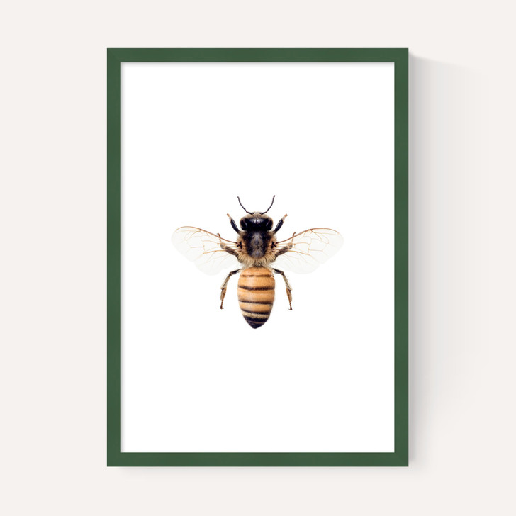 Bee by Sisi and Seb