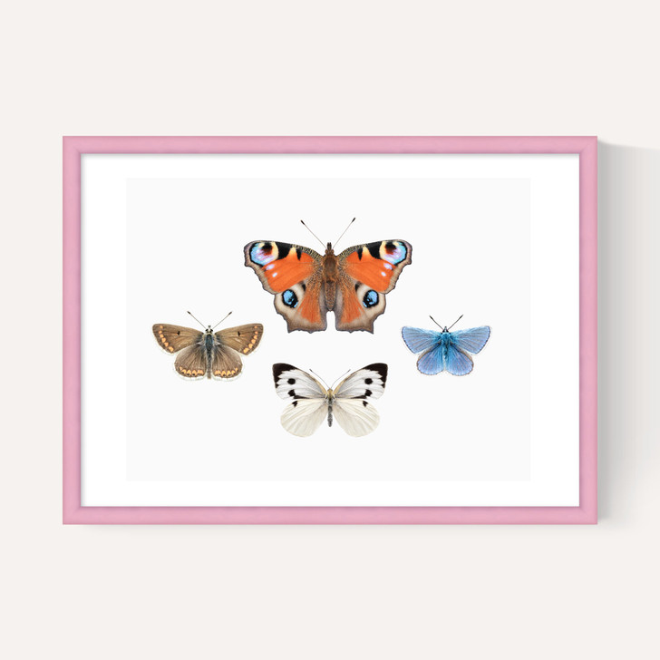 British Butterflies