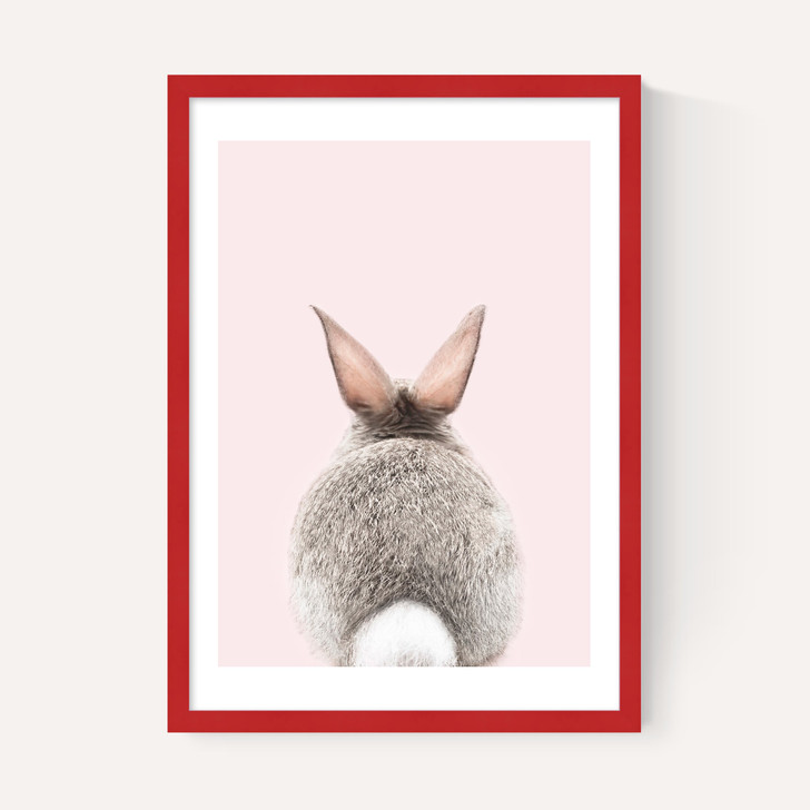 Baby Bunny Tail