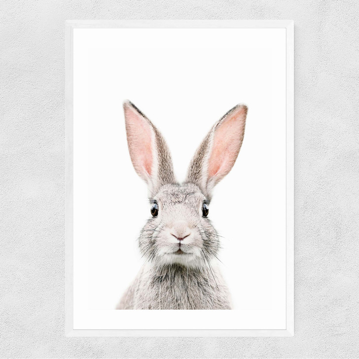 Baby Bunny Narrow White Frame Baby Bunny Narrow White Frame