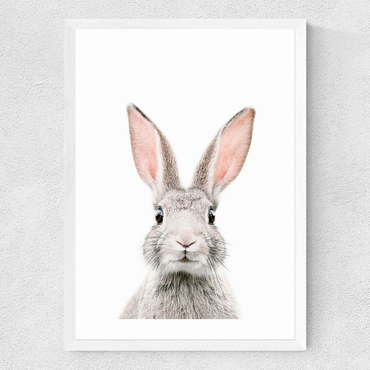 Baby Bunny Medium White Frame Baby Bunny Medium White Frame