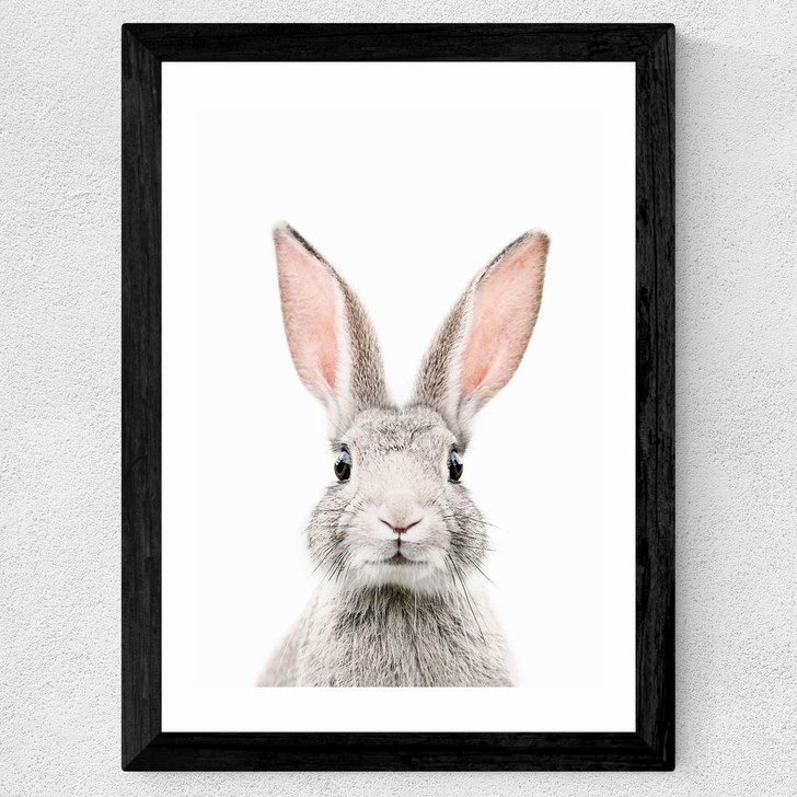 Baby Bunny Wide Black Frame