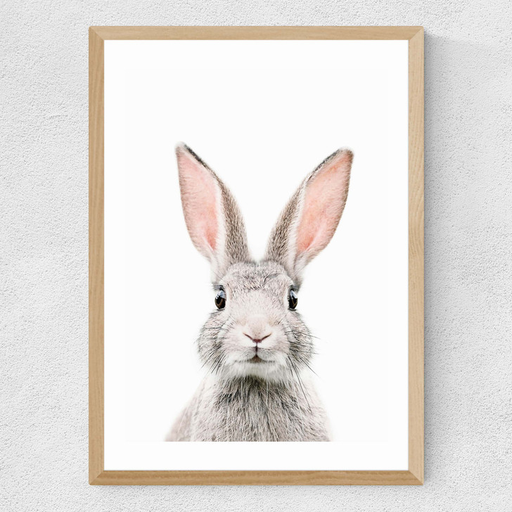 Baby Bunny Medium Oak Frame