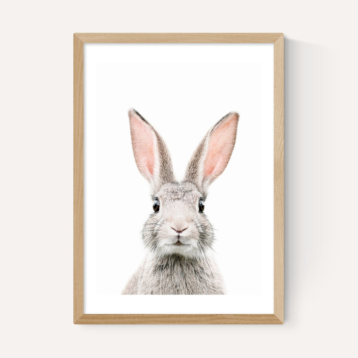 Baby Bunny