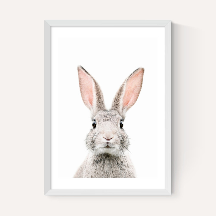 Baby Bunny