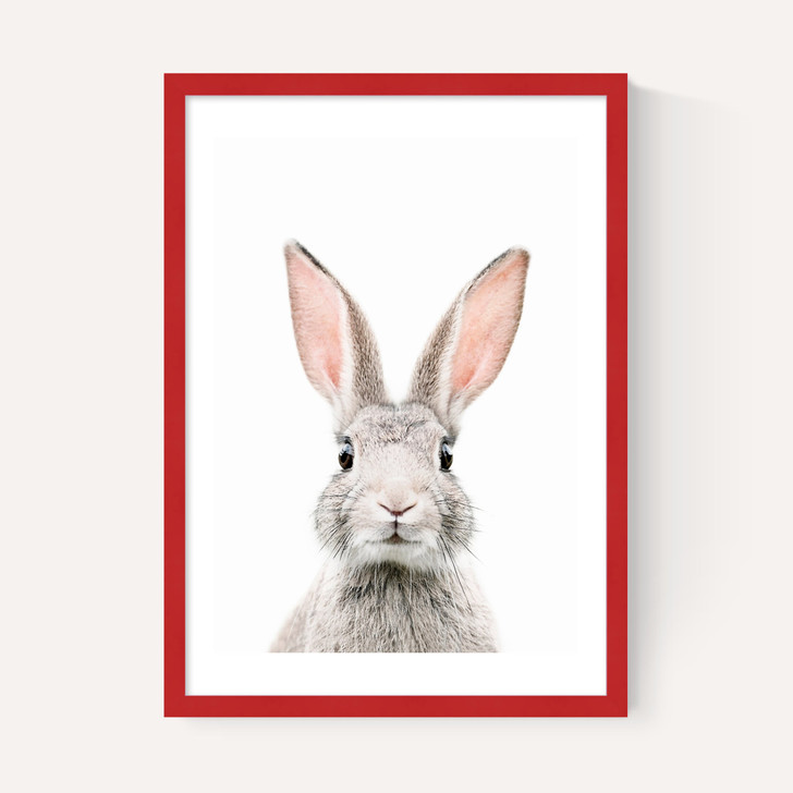 Baby Bunny