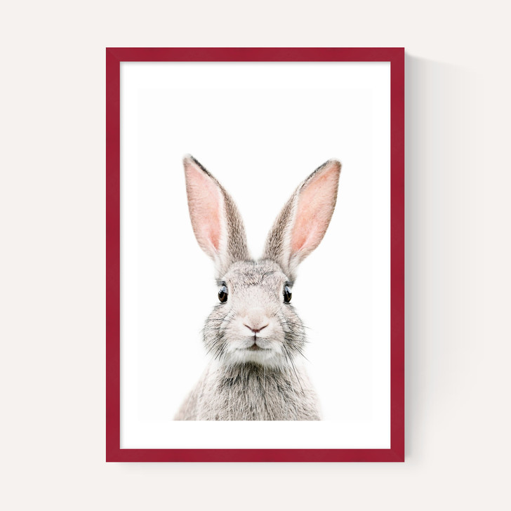 Baby Bunny