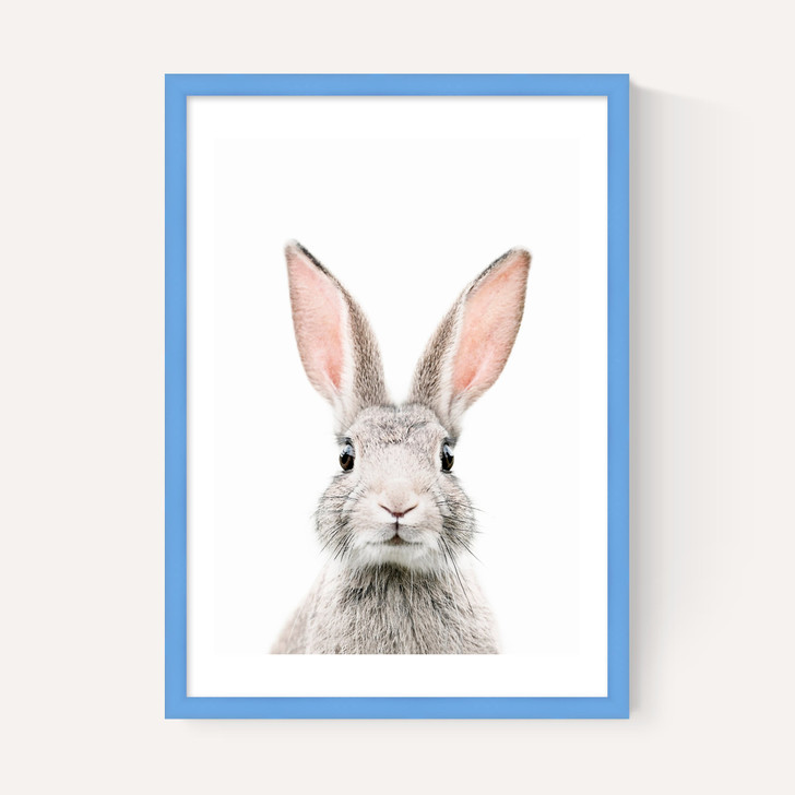 Baby Bunny