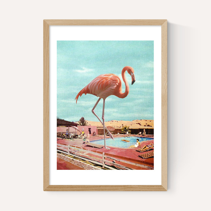 Flamingo on Holiday