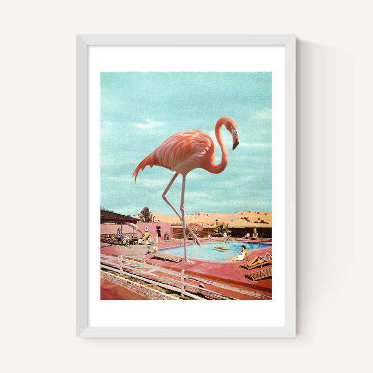 Flamingo on Holiday