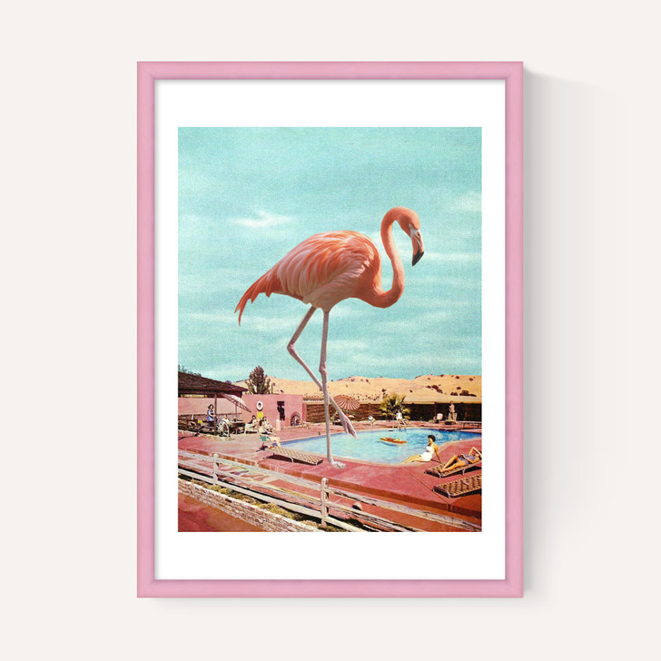 Flamingo on Holiday