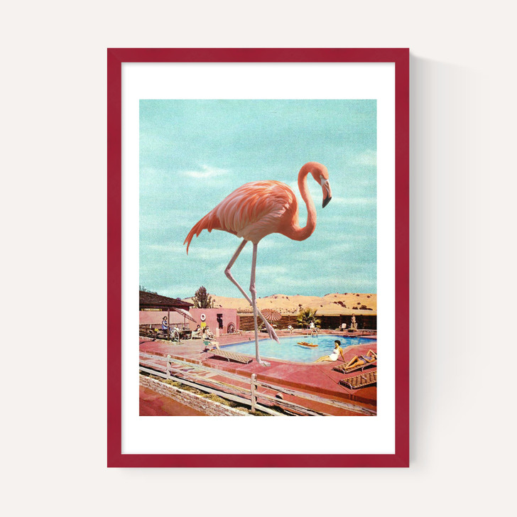 Flamingo on Holiday