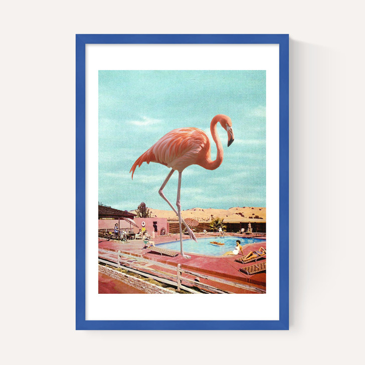 Flamingo on Holiday