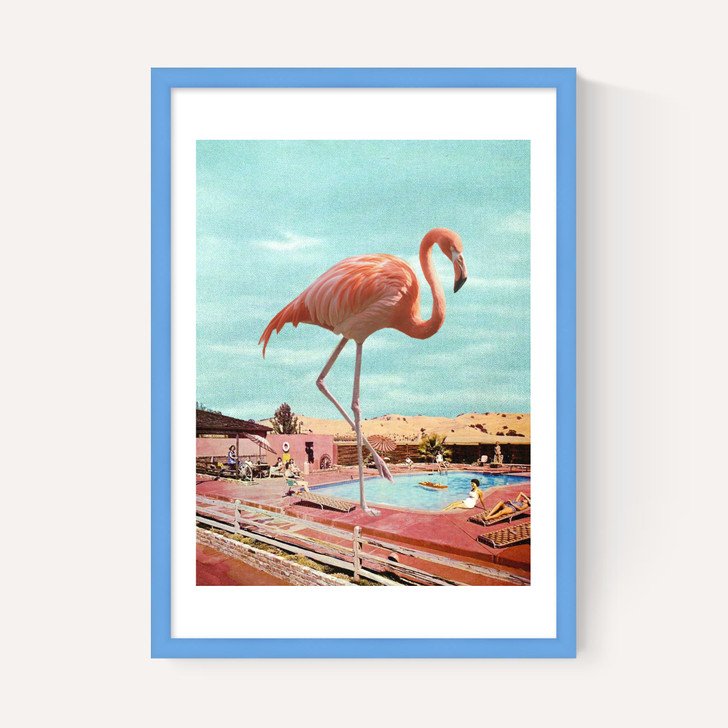 Flamingo on Holiday