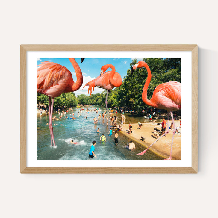 Flamingo Shore