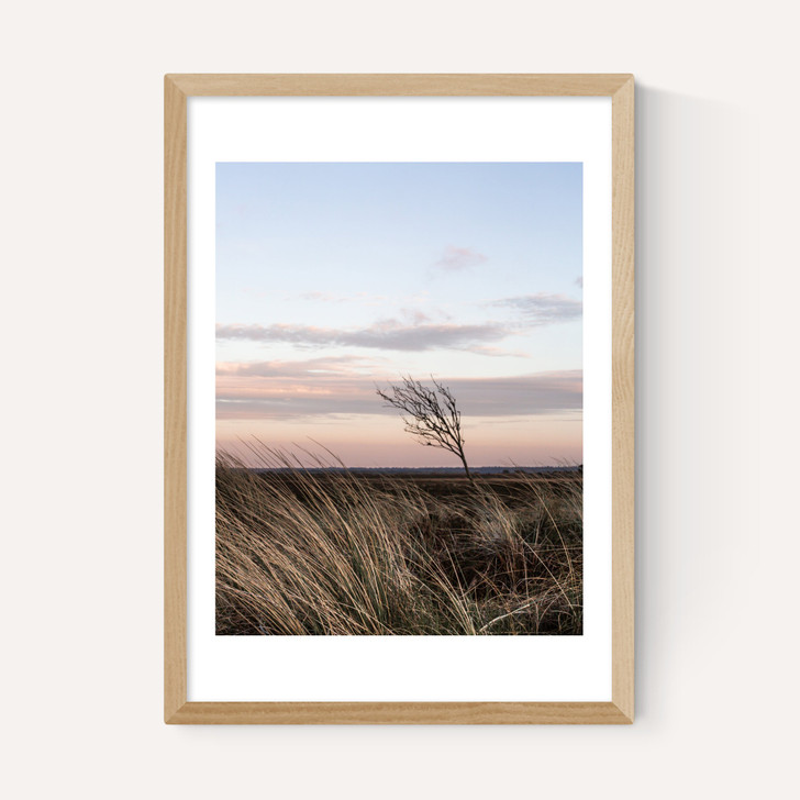 At The Coast IV