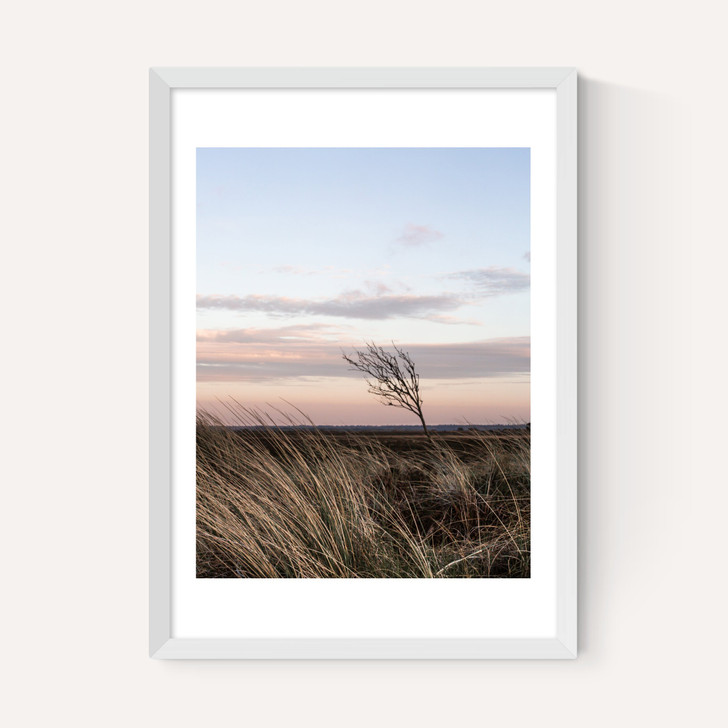 At The Coast IV