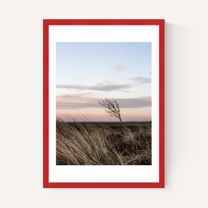 At The Coast IV