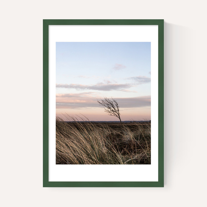 At The Coast IV