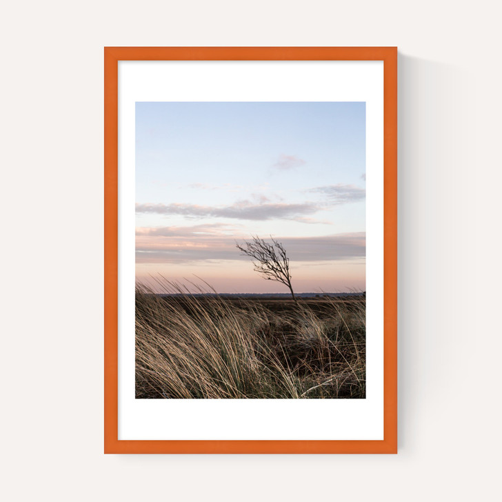 At The Coast IV