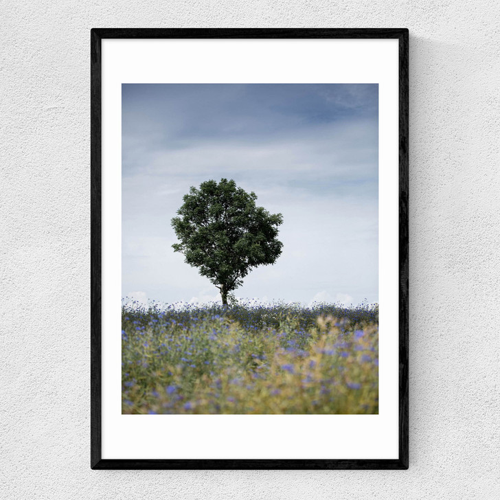 Summer Meadow Narrow Black Frame