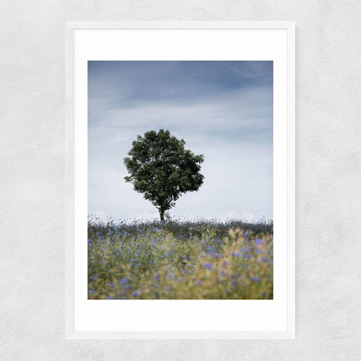 Summer Meadow Narrow White Frame