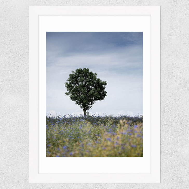 Summer Meadow Wide White Frame