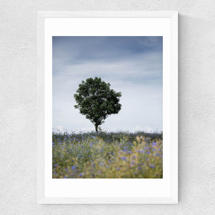 Summer Meadow Medium White Frame