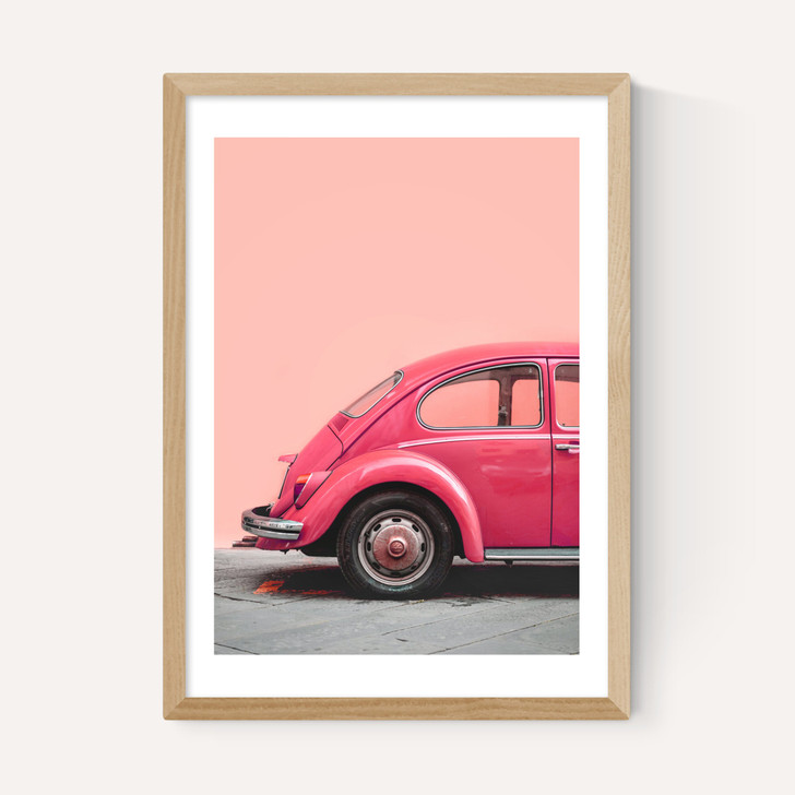 Pink Bug