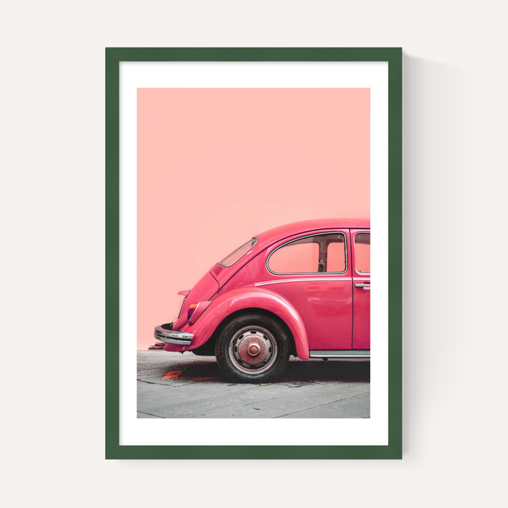 Pink Bug